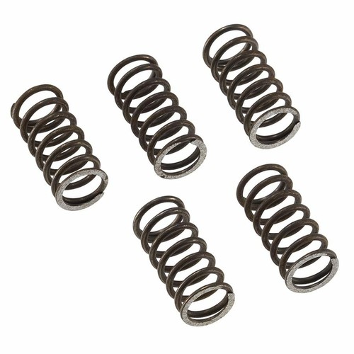 Trial clutch spring fantic - clutch,