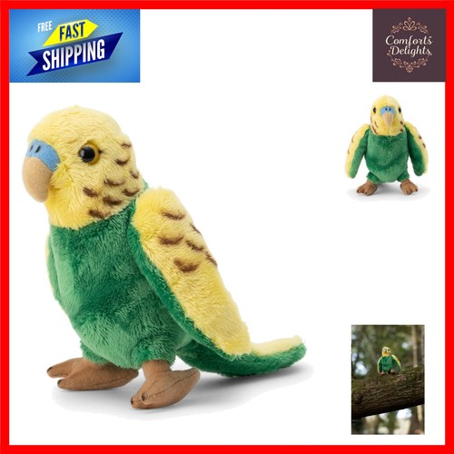Realistic budgie bird - realistic,
