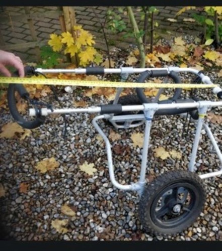 Used dog wheelchair - used,