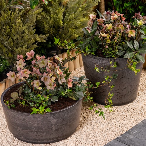 Garden gear caesar charcoal - gear,