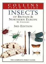 Insects britain and - insects,