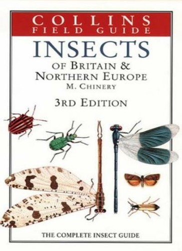 Insects britain and - insects,