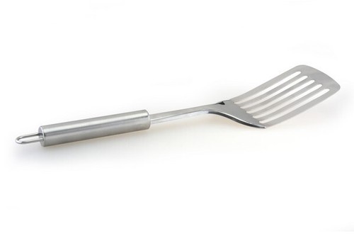 Apollo stainless steel - apollo, fish