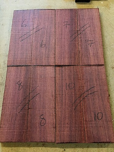 Mexican kingwood camatillo - kingwood, /
