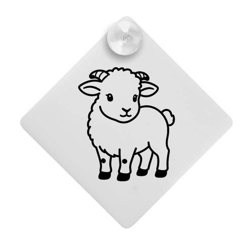 Dorset horn lamb - 'dorset, car