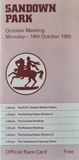 Sandown Racecard--14th October 1985--Dancing Brave 1st Ever Race