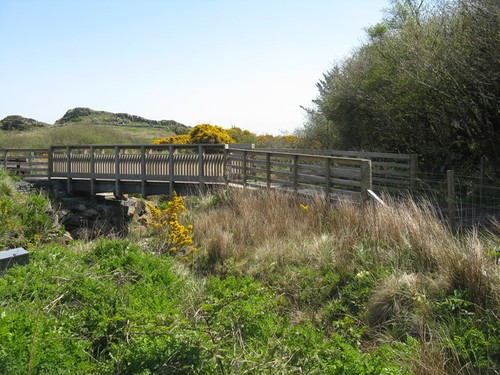 Photo 12x8 footpath - photo,