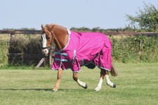 Lightweight horse turnout - lightweight,