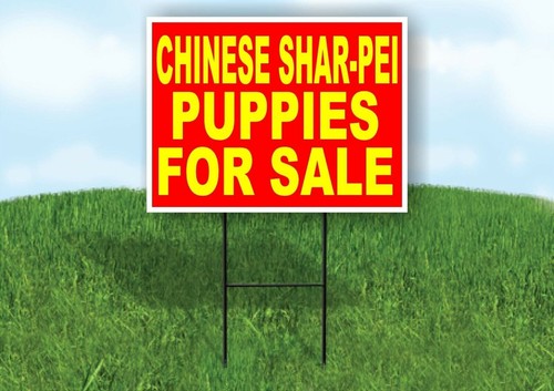 Chinese shar pei puppies - chinese,