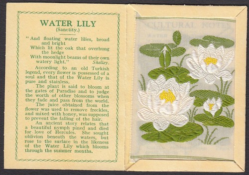 Kensitas wix tobacco silk - (,