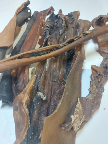 1kg beef head - beef, dog
