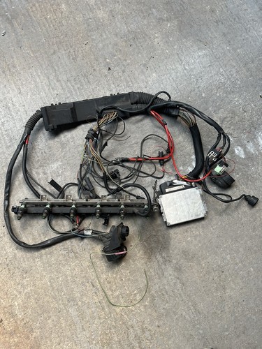 Bmw e36 m52 ecu wiring - m52, ecu,