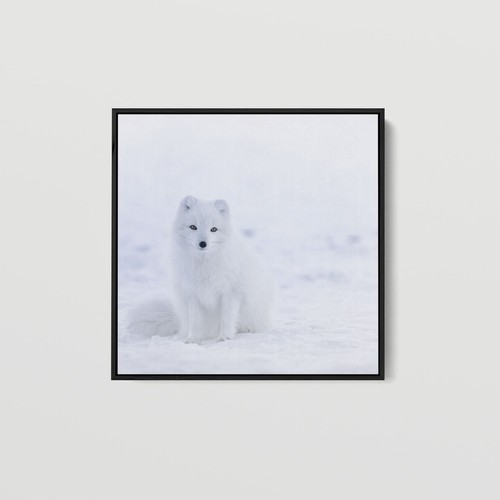 Artographie young arctic - artographie,