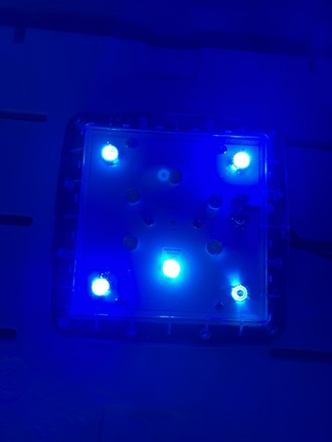 Qa2 tmc aquaray nature perfect - qa2,