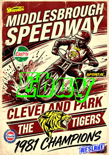 Middlesbrough speedway themed - middlesbrough,