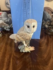 Country Artist Barn Owl