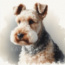 LAKELAND TERRIER Watercolour