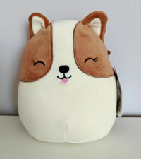 Squishmallows Regina the Corgi