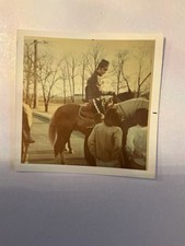 Original Vintage Photo Elvis