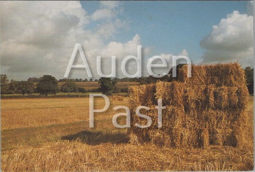 Topographical postcard hay - of,