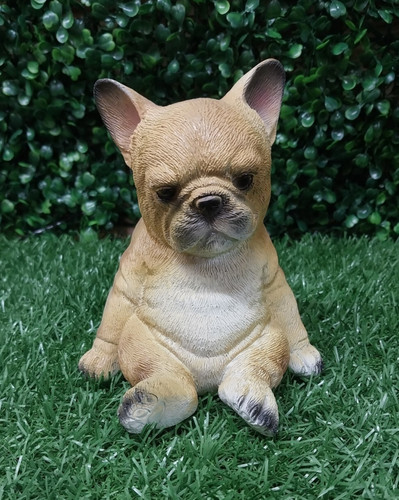 Dog 14cm 5cm 11cm latex - 11cm,