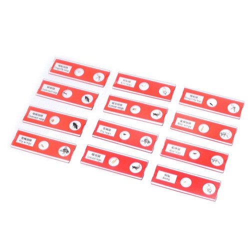 Plastic microscope slides - plastic,