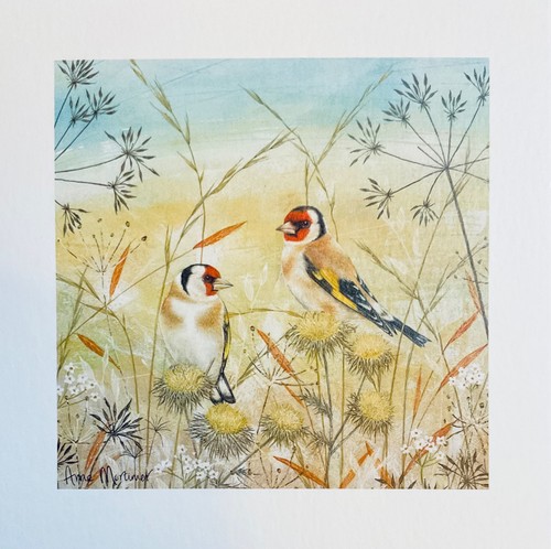 Goldfinch meadow flowers - meadow,