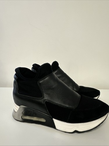 Ash high top - high, women