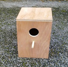 Cockatiel Parakeet Nest