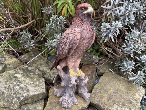 Vivid arts golden eagle - golden, garden