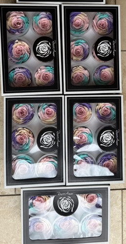 Rainbow pink preserved - rainbow,