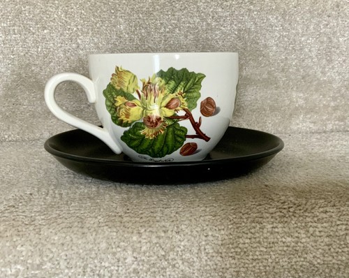 Pomona portmeirion hazelnut - by,