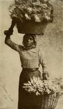 South African Cape flower girl
