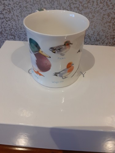 Dunoon bird collection ducks - dunoon,