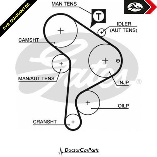 Cam timing belt for - cam, vw