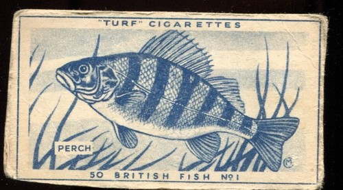 Tobacco card carreras turf - tobacco, carreras,