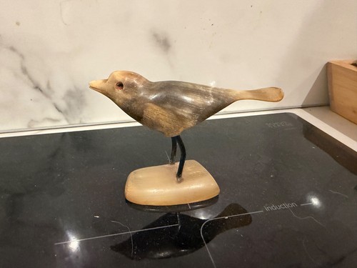 Cow horn bird - cow,