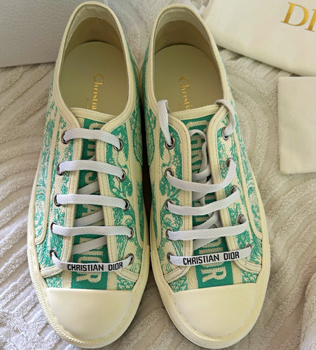 Dior walk toile - de, jouy