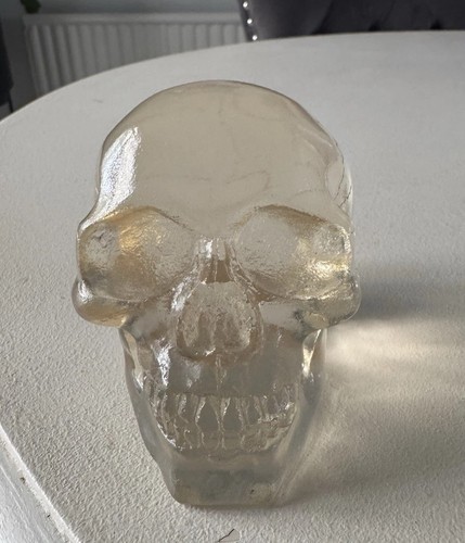 Clear resin moulded skull head - clear,