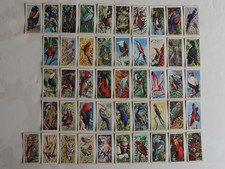 47 Brooke Bond Tea Cards, Tropical Birds. 1961 Incomplete.