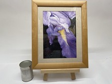 C. Robins  Original Watercolour Purple Bearded Iris Multicolour Framed Glazed -B