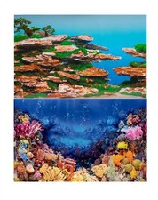 Aquarium Fish Tank Background