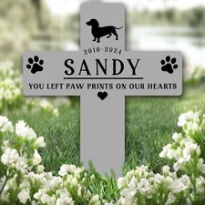 Cross Grey Dachshund Dog Pet