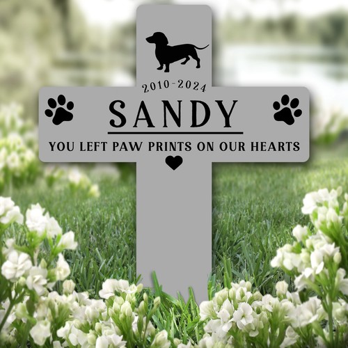 Cross grey dachshund dog pet - cross,