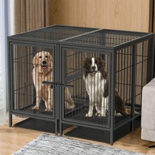 Xxl large heavy - duty, crate
