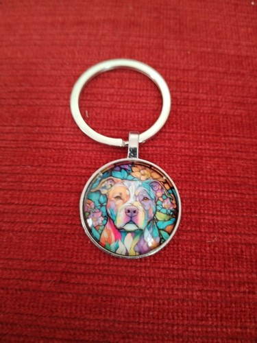 Staffordshire bull terrier - bull,