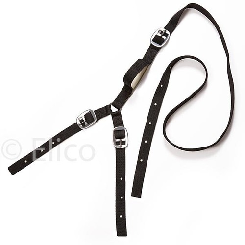 Daisy reins anti grazing - daisy, reins,