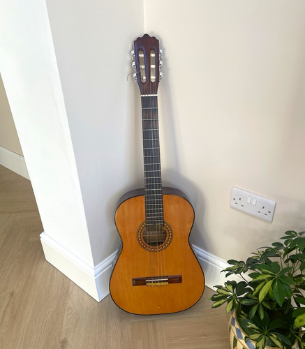 Artist 4 6 - artist, 6-string