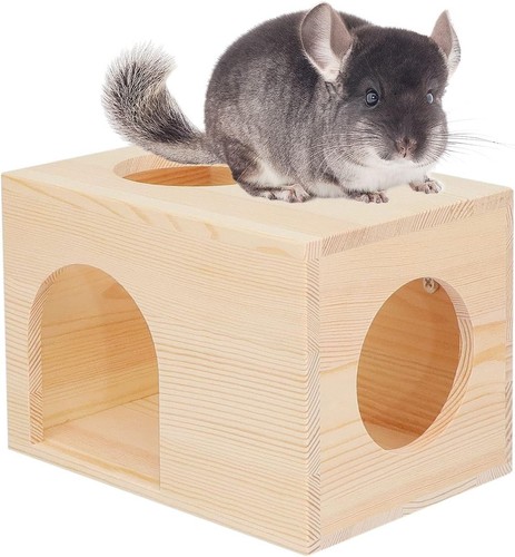 Pet chinchilla hut - chinchilla,