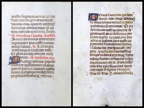 Manuscript vellum leaf from - leaf,